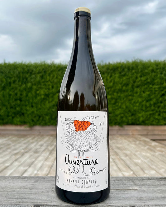 Aligoté Macération 2023 - Arnaud Chapuis