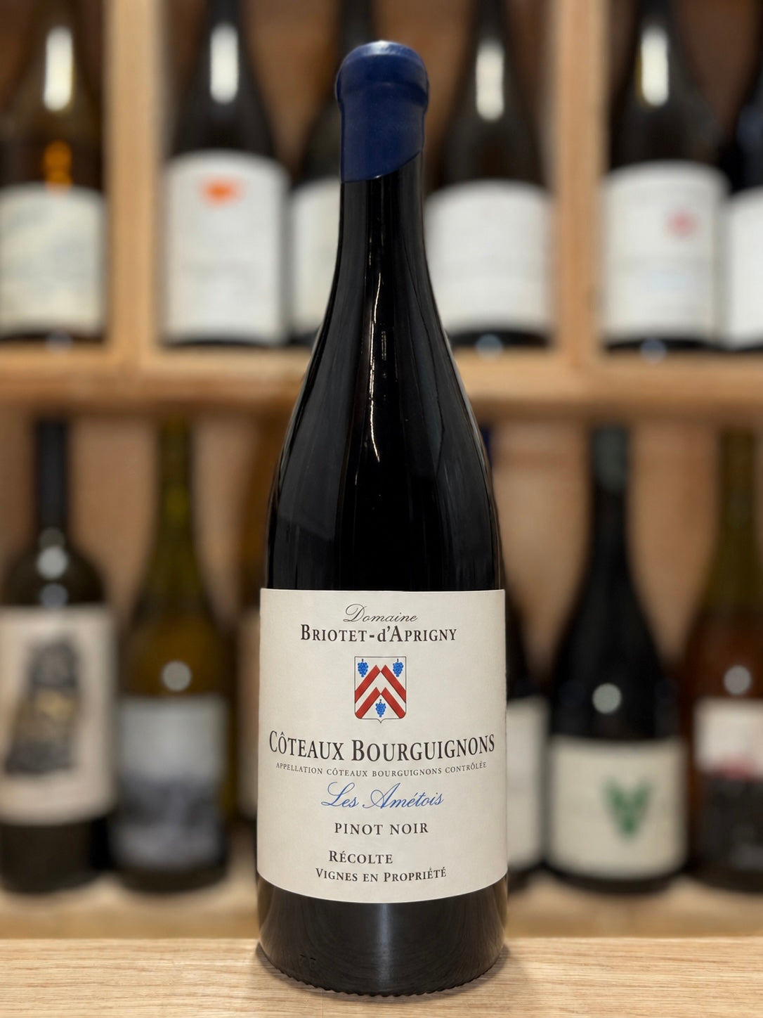 Coteaux Bourguignons Pinot Noir 2024 - Briotet d’Aprigny