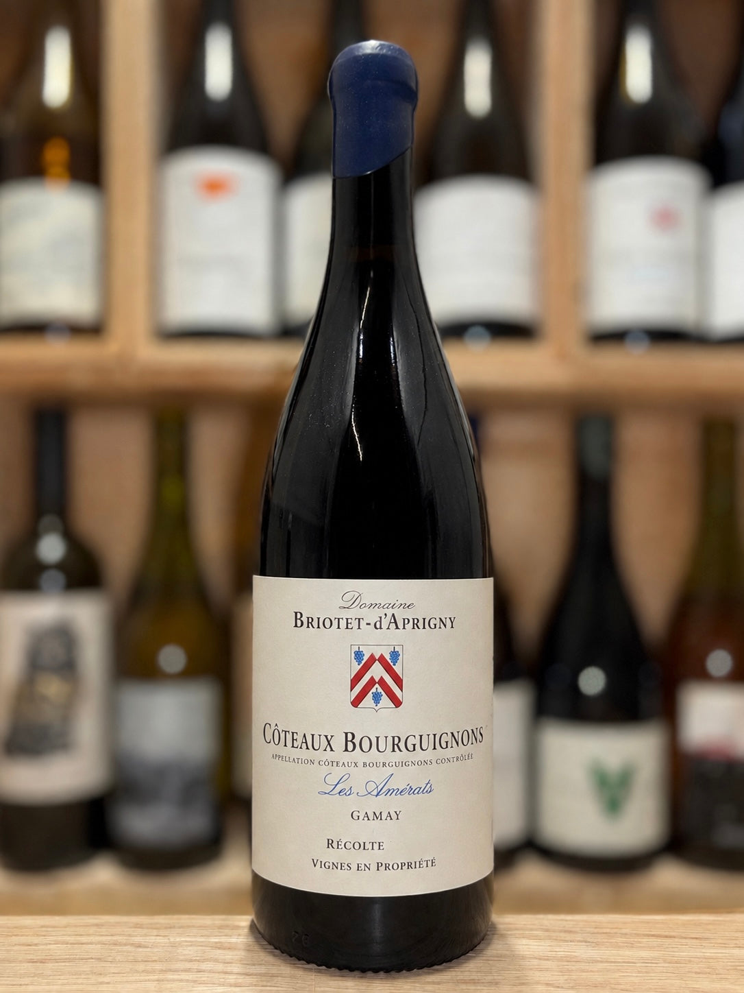 Coteaux Bourguignons Gamay 2024 - Briotet d’Aprigny