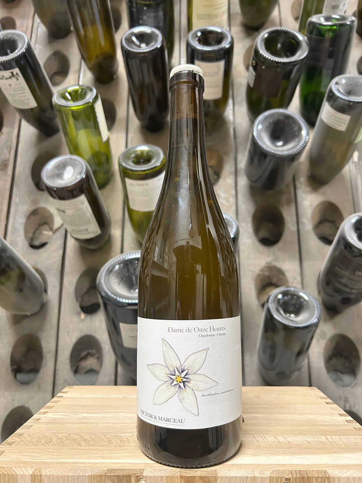 Dame de Onze Heures 2023 - Victor&Marceau