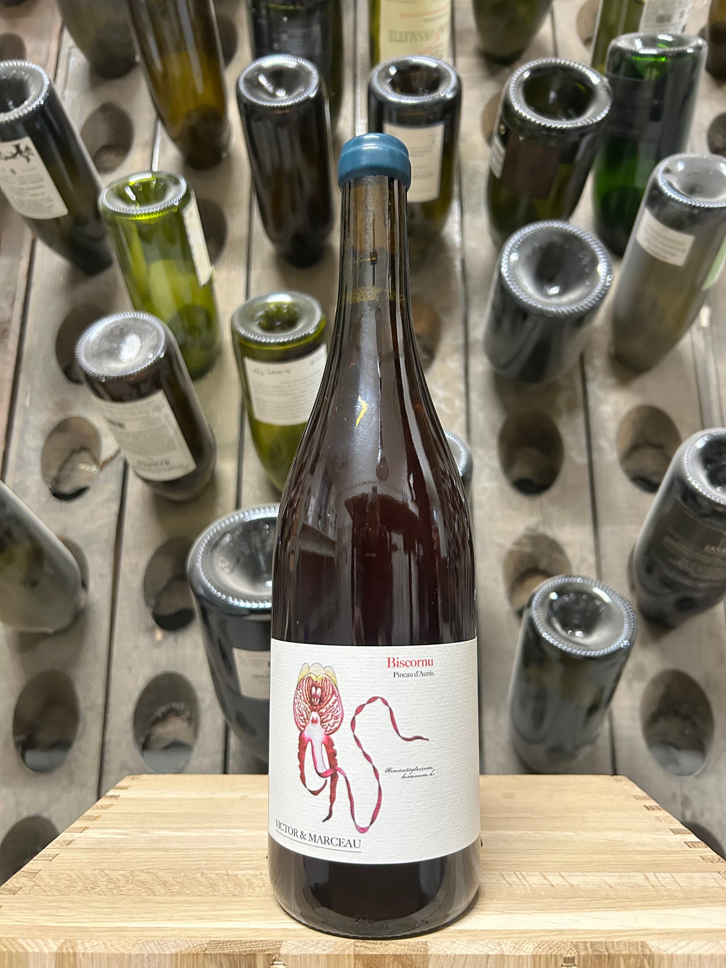 Pineau d’Aunis ‘Biscornu’ 2023 - Victor&Marceau