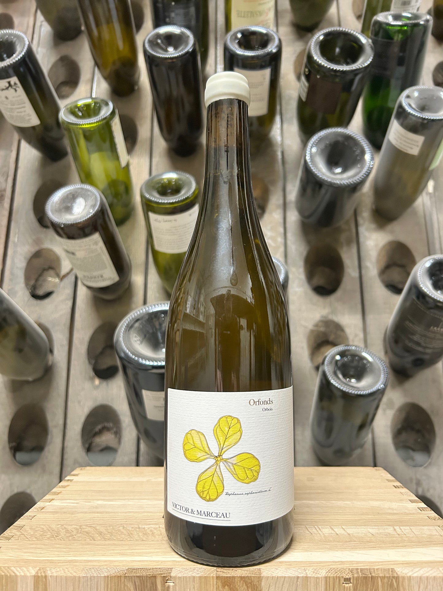 Orbois ‘Orfonds 2023’ - Victor&Marceau