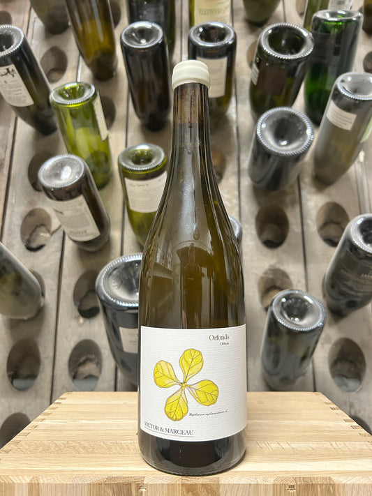 Orbois ‘Orfonds 2023’ - Victor&Marceau