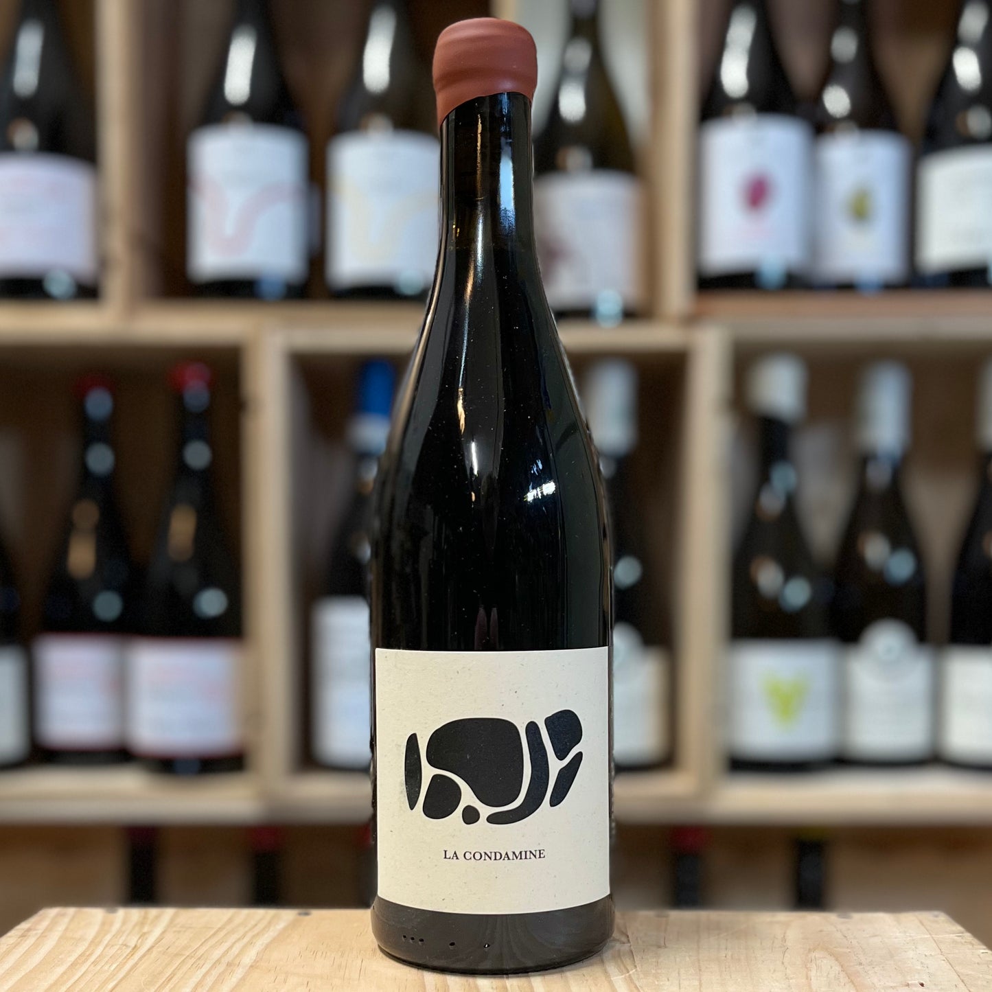 Gamay La Condamine 2022 - Les Bariolés