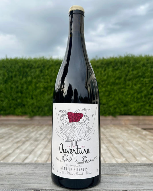 Pinot Noir 2023 - Arnaud Chapuis