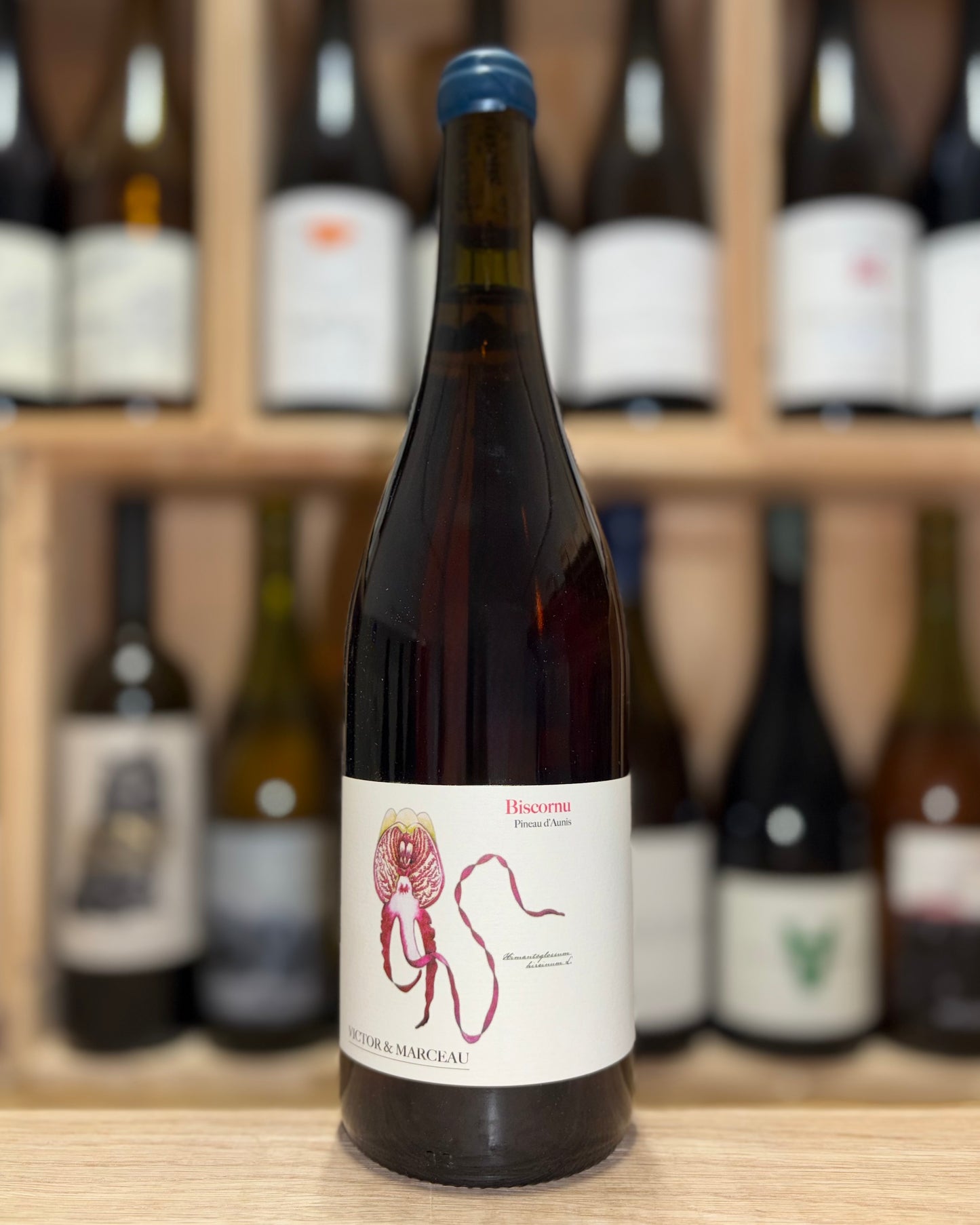 Pineau d’Aunis ‘Biscornu’ 2023 - Victor&Marceau