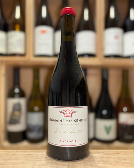 Pinot Noir Fracta Corda 2023 - Domaine des Sénons