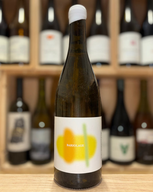 Bariolage 2024 - Les Bariolés