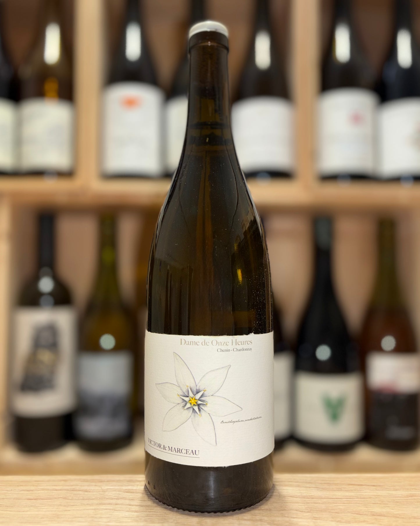 Dame de Onze Heures 2024 - Victor&Marceau