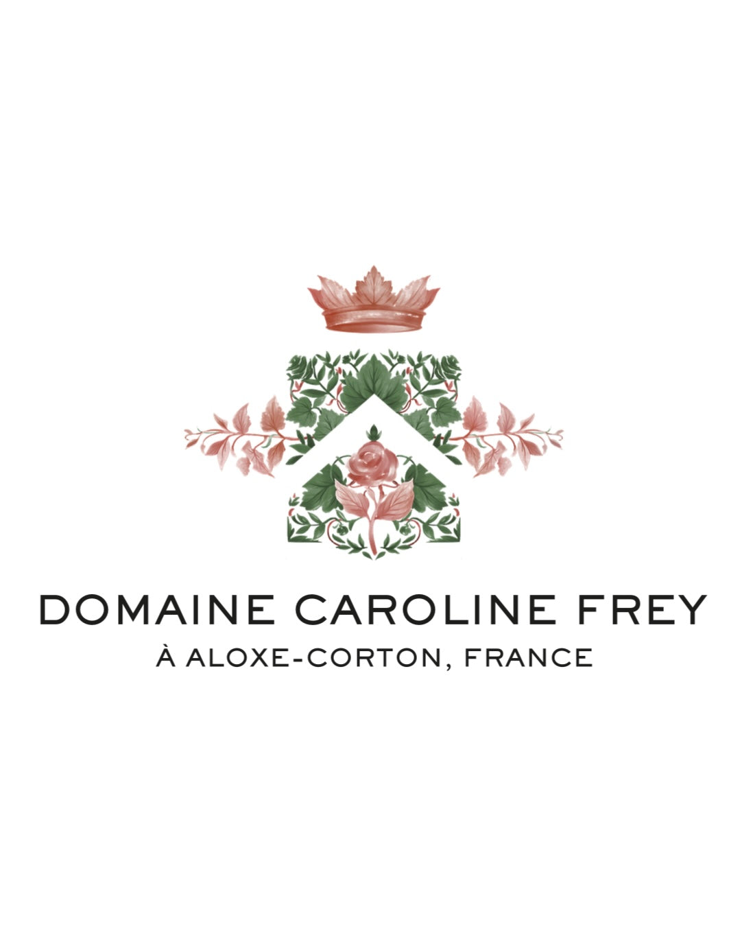 Bourgogne Pinot Noir 2023 - Caroline Frey